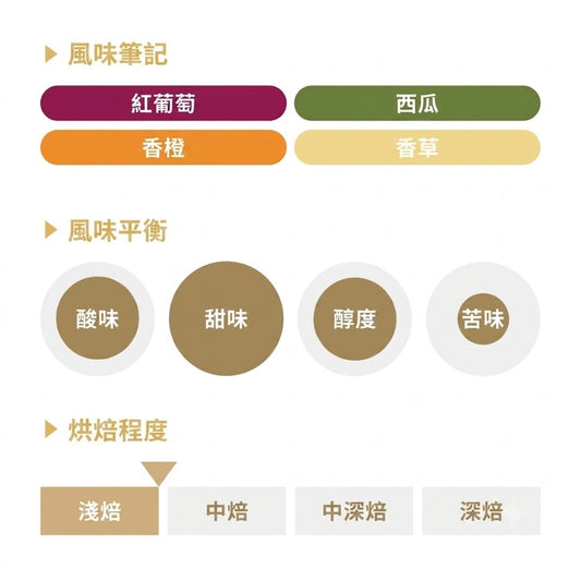 REC COFFEE 哥倫比亞 Granja Paraiso 92 莊園 Ombligon 接種發酵 精品咖啡原豆 淺烘焙 200g