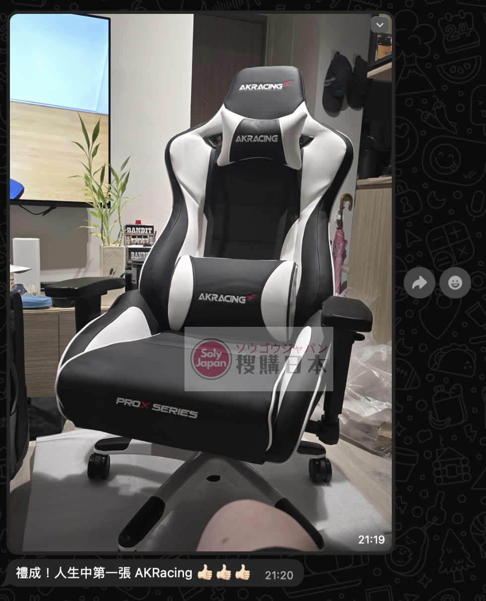 AKRacing Pro-X V2 人體工學高階電競椅 Gaming Chair 包國際空運及香港上門送貨