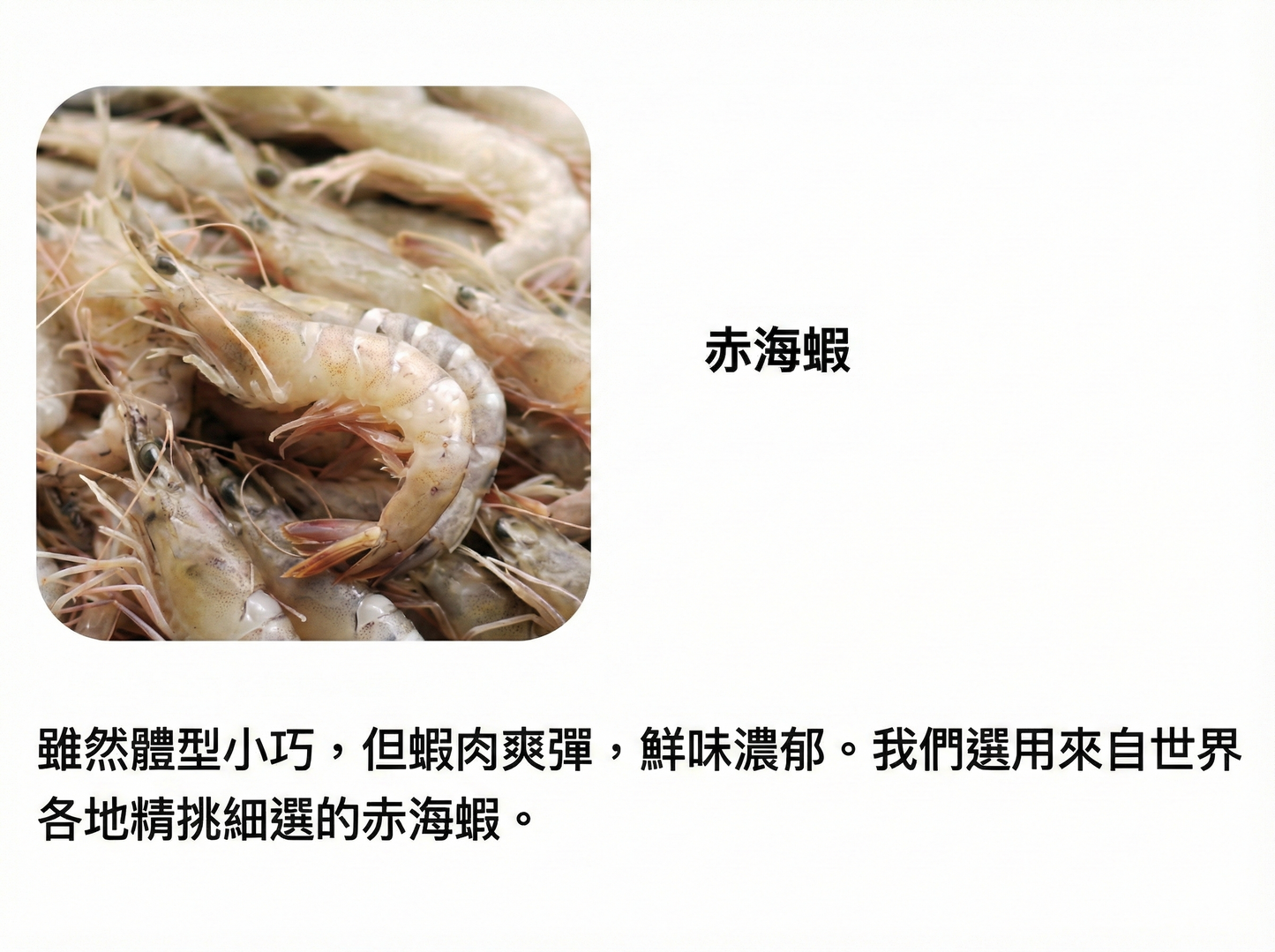 桂新堂 炙燒鮮蝦 蝦餅什錦禮盒 45袋入 160年老字號 殿堂級手信