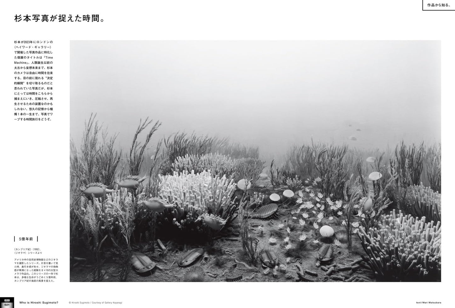 BRUTUS 雜誌 2026年7月15日號 No.1057｜說到底，杉本博司究竟是何方神聖？