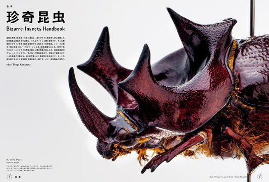 BRUTUS 特別編集 日本視覺系昆蟲圖鑑與標本指南 珍奇昆蟲特刊合本