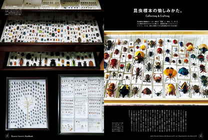 BRUTUS 特別編集 日本視覺系昆蟲圖鑑與標本指南 珍奇昆蟲特刊合本