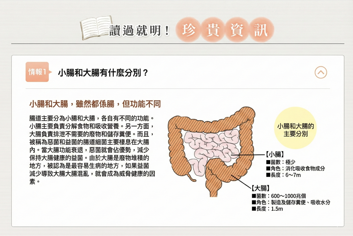 日清製藥LivLon Bificolon S 比菲德氏菌益生菌膠囊 有效改善腸道環境
