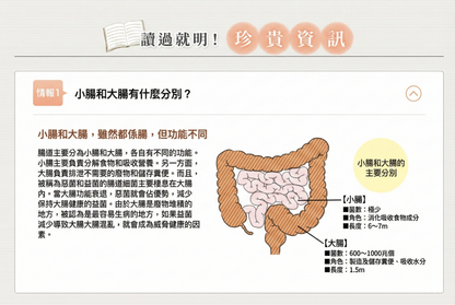 日清製藥LivLon Bificolon S 比菲德氏菌益生菌膠囊 有效改善腸道環境