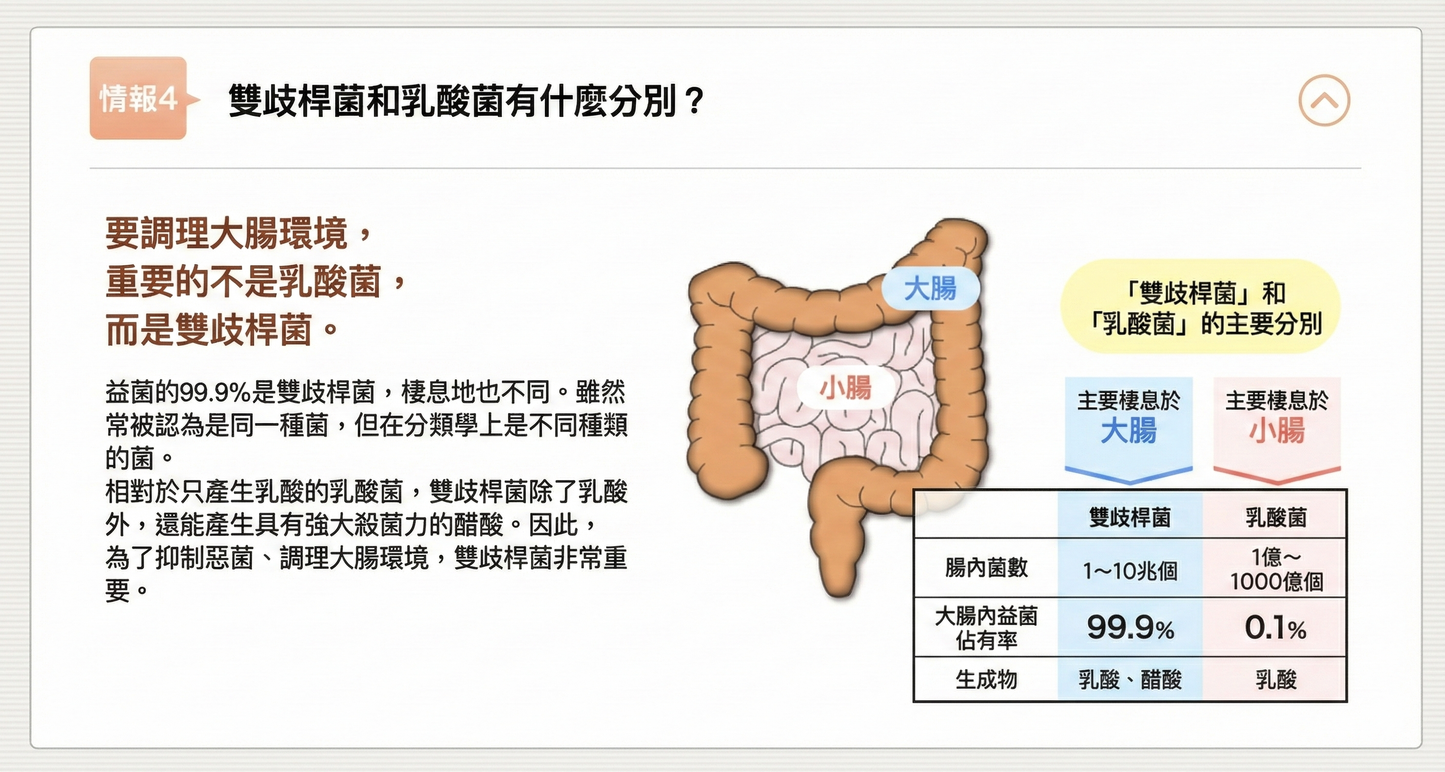 日清製藥LivLon Bificolon S 比菲德氏菌益生菌膠囊 有效改善腸道環境