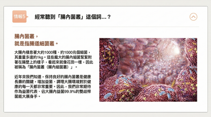 日清製藥LivLon Bificolon S 比菲德氏菌益生菌膠囊 有效改善腸道環境