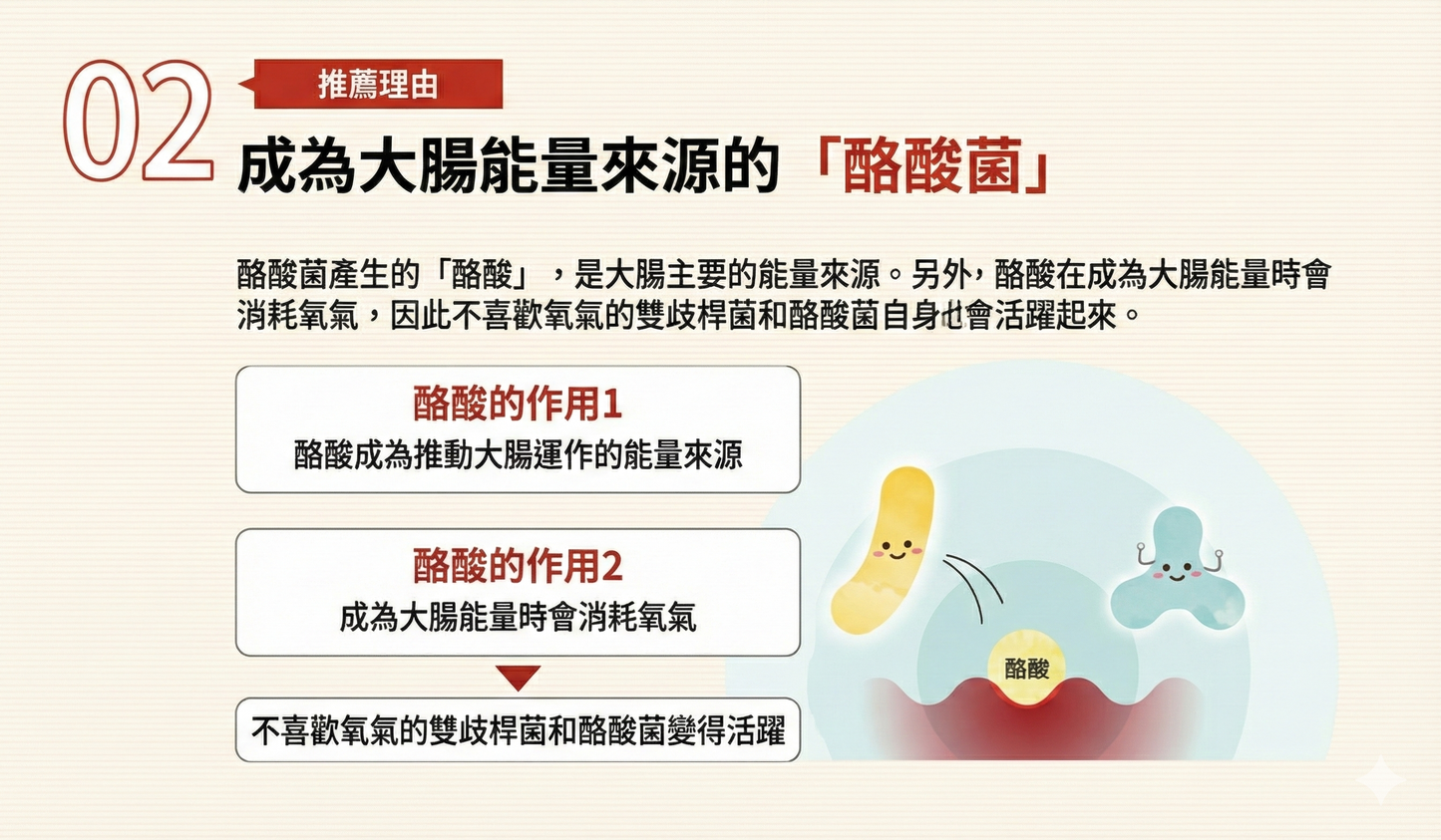 日清製藥LivLon Bificolon 三重助益配方 1包30粒裝 激活腸道好菌