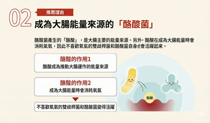 日清製藥LivLon Bificolon 三重助益配方 1包30粒裝 激活腸道好菌