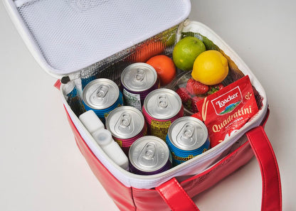 Coleman 50th Anniversary Brand Book #08 Cooler Bag RED Mook