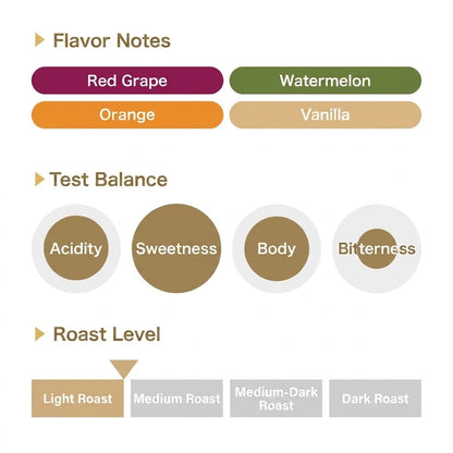 REC COFFEE 哥倫比亞 Granja Paraiso 92 莊園 Ombligon 接種發酵 精品咖啡原豆 淺烘焙 200g
