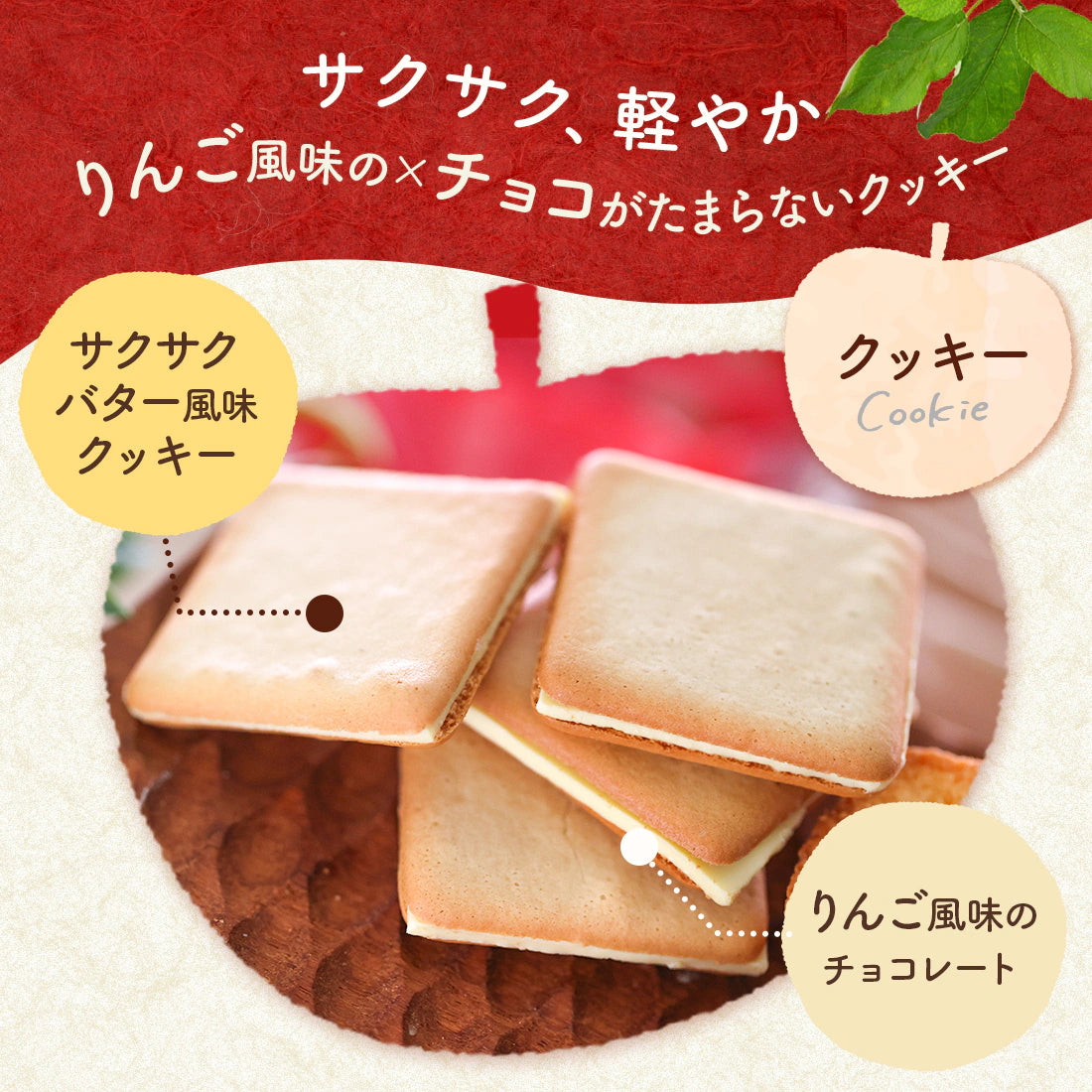 Apple & Butter 人氣手信 3種人氣菓子禮盒Gift (費南雪蛋糕/曲奇/朱古力撻) 節日送禮首選伴手禮