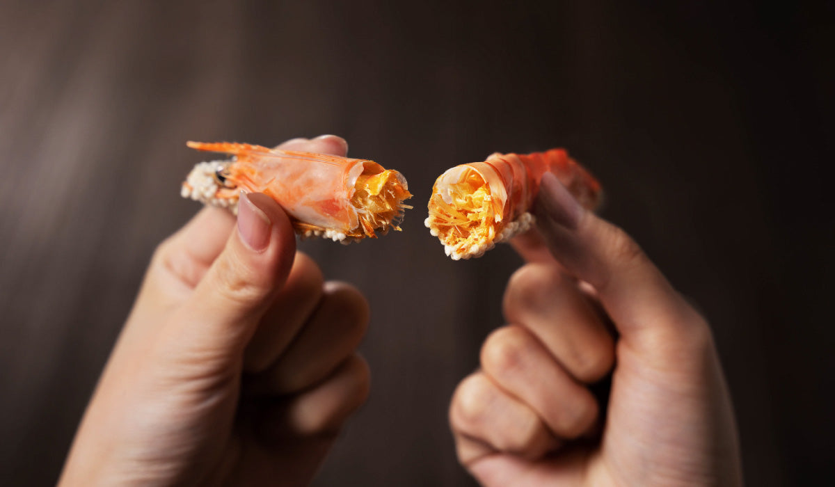 桂新堂 海老遍路 頂級鮮蝦 磯燒 炙燒 蝦餅什錦禮盒 2杯+20袋入 160年老字號