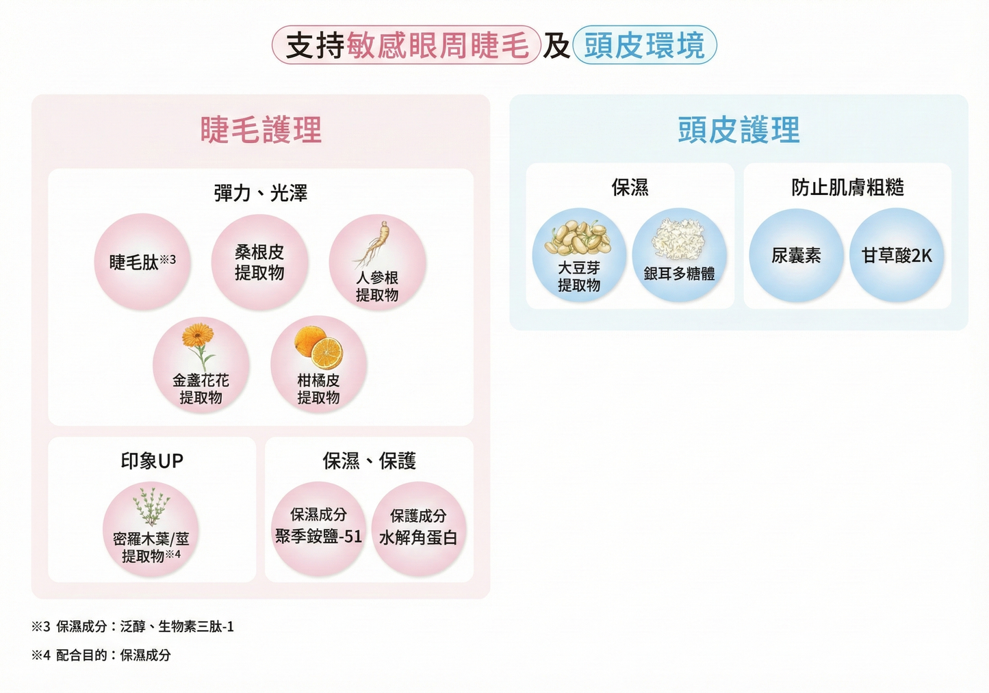 ETVOS Enrich Lash Serum 眼睫毛精華液 新上市