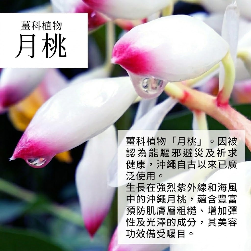 RUHAKU 琉白 日本製 沖繩月桃 淨透潔面皂 Clear Soap 80g x 2件優惠裝