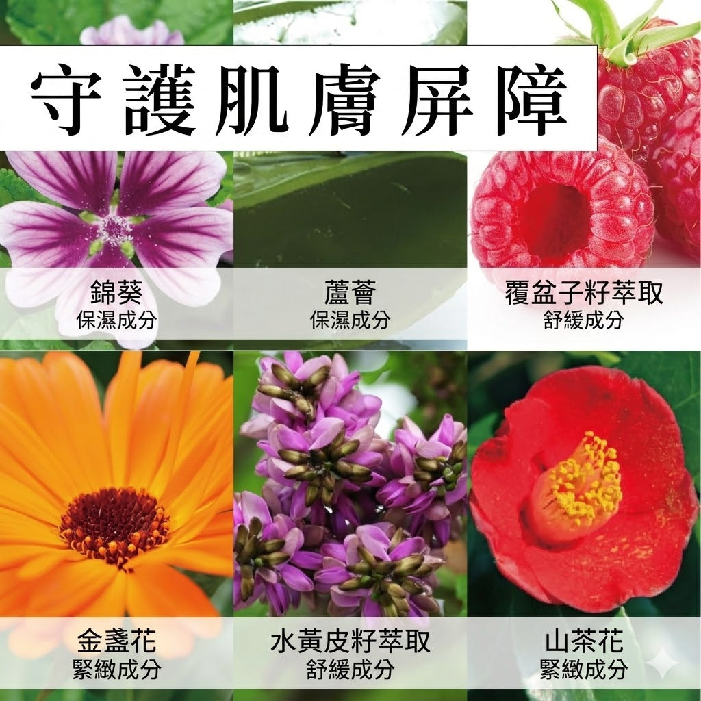 RUHAKU 琉白 日本製 沖繩月桃 輕透保濕 有機防曬乳 敏感肌用 SPF50+ PA++++ Gettou UV Veil 50ml