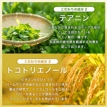 日本Suntory 快眠芝麻明 1包 90粒/30日份量 芝麻素 L-茶胺酸 維他命E