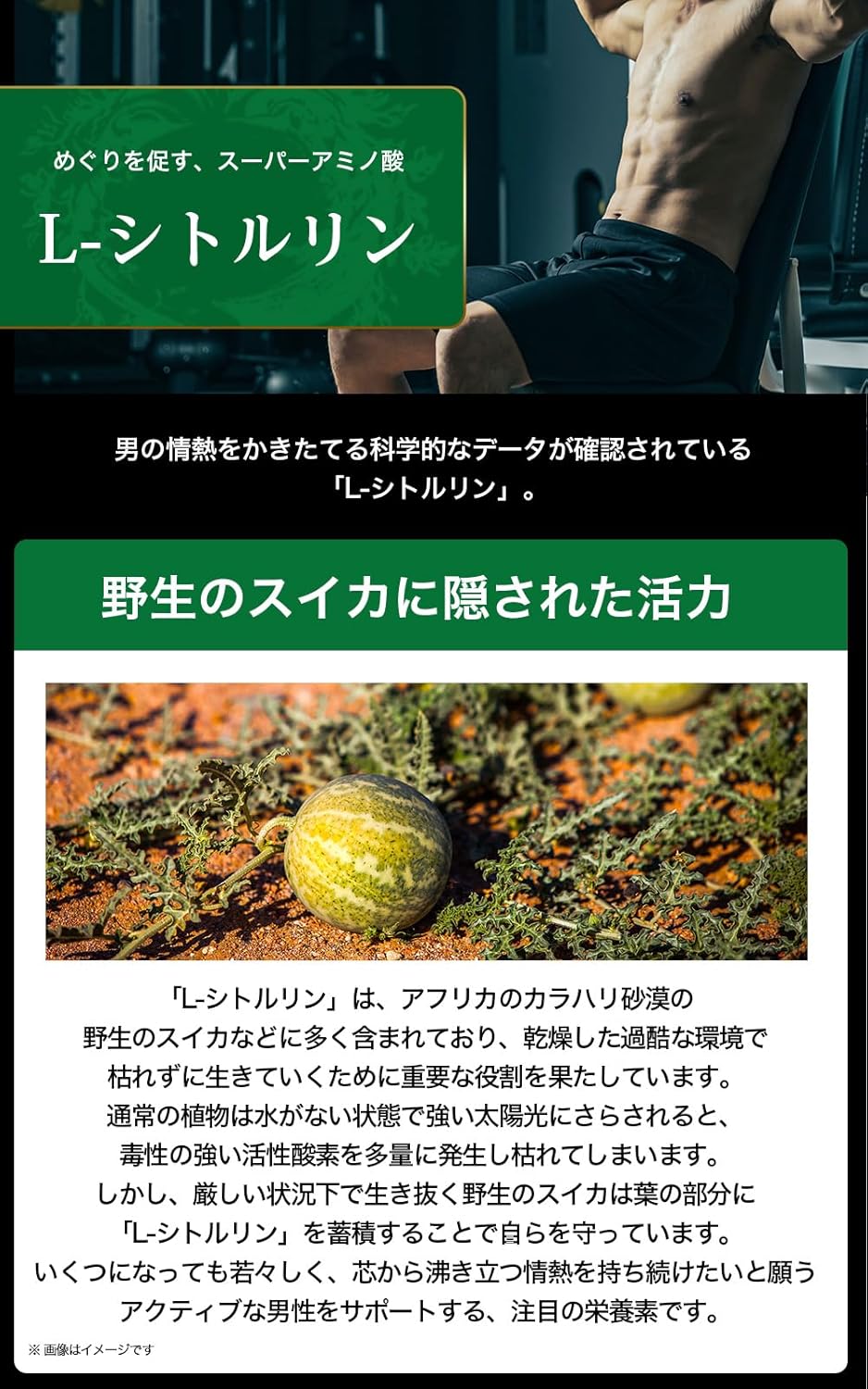 日本Suntory Grand Maca 御瑪卡 4樽優惠裝 480粒/120日份量 提升力量及活力