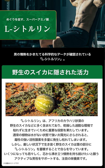 日本Suntory Grand Maca 御瑪卡 4樽優惠裝 480粒/120日份量 提升力量及活力