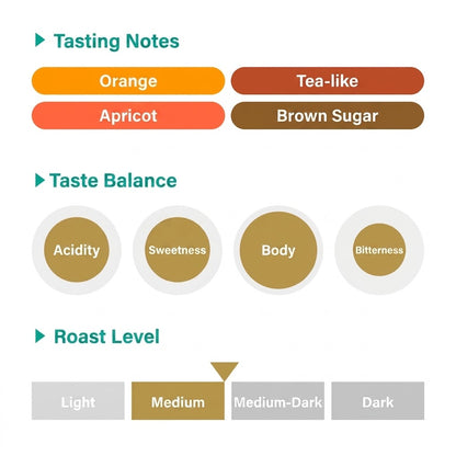 REC COFFEE Guatemala 危地馬拉/瓜地馬拉 Los Suspiros 莊園 水洗精品咖啡原豆 中度烘焙 250g