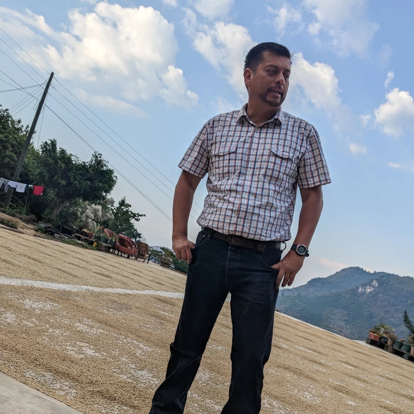 REC COFFEE Guatemala 危地馬拉/瓜地馬拉 Los Suspiros 莊園 水洗精品咖啡原豆 中度烘焙 250g