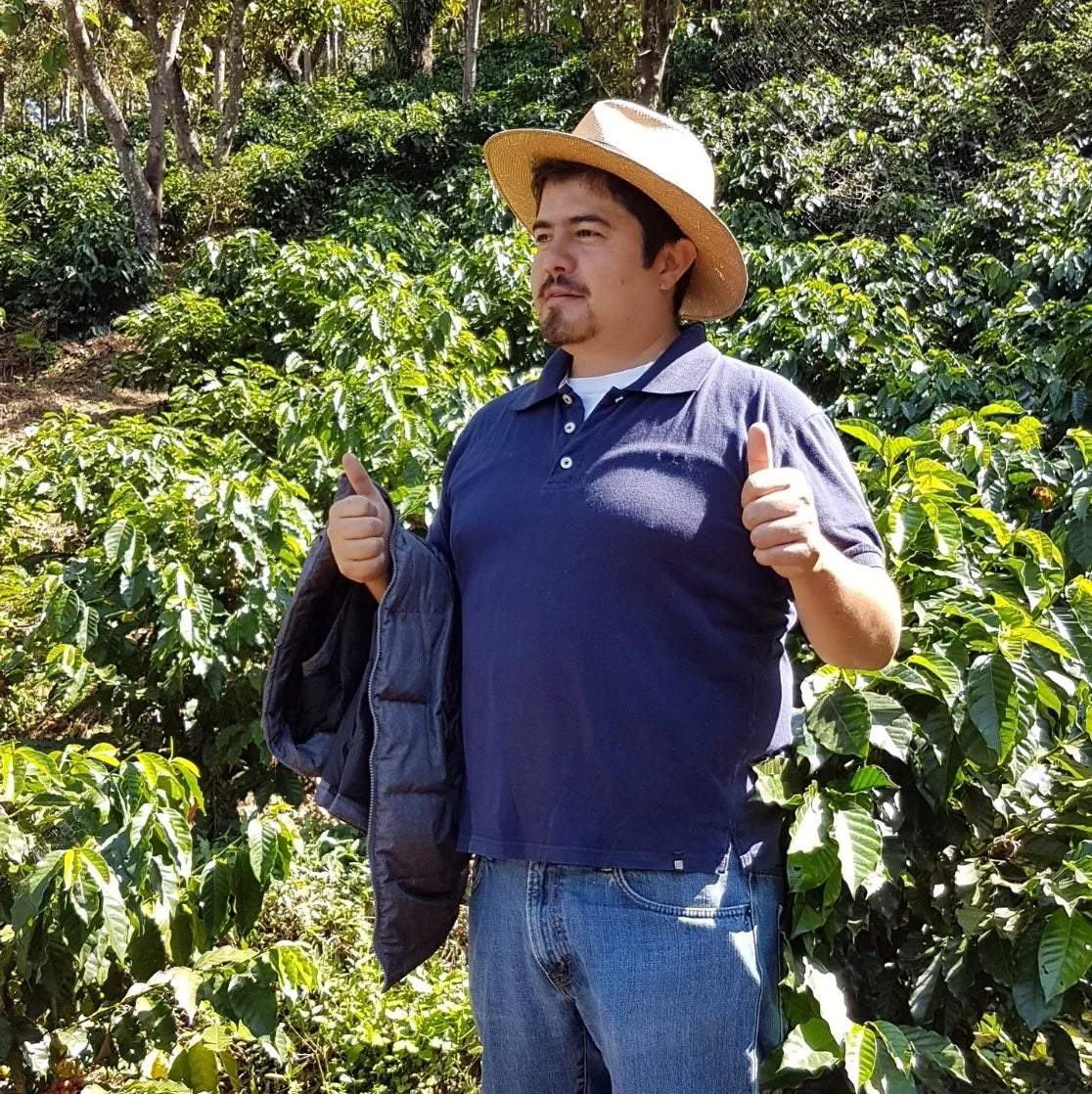 REC COFFEE Guatemala 危地馬拉/瓜地馬拉 Los Suspiros 莊園 水洗精品咖啡原豆 中度烘焙 250g