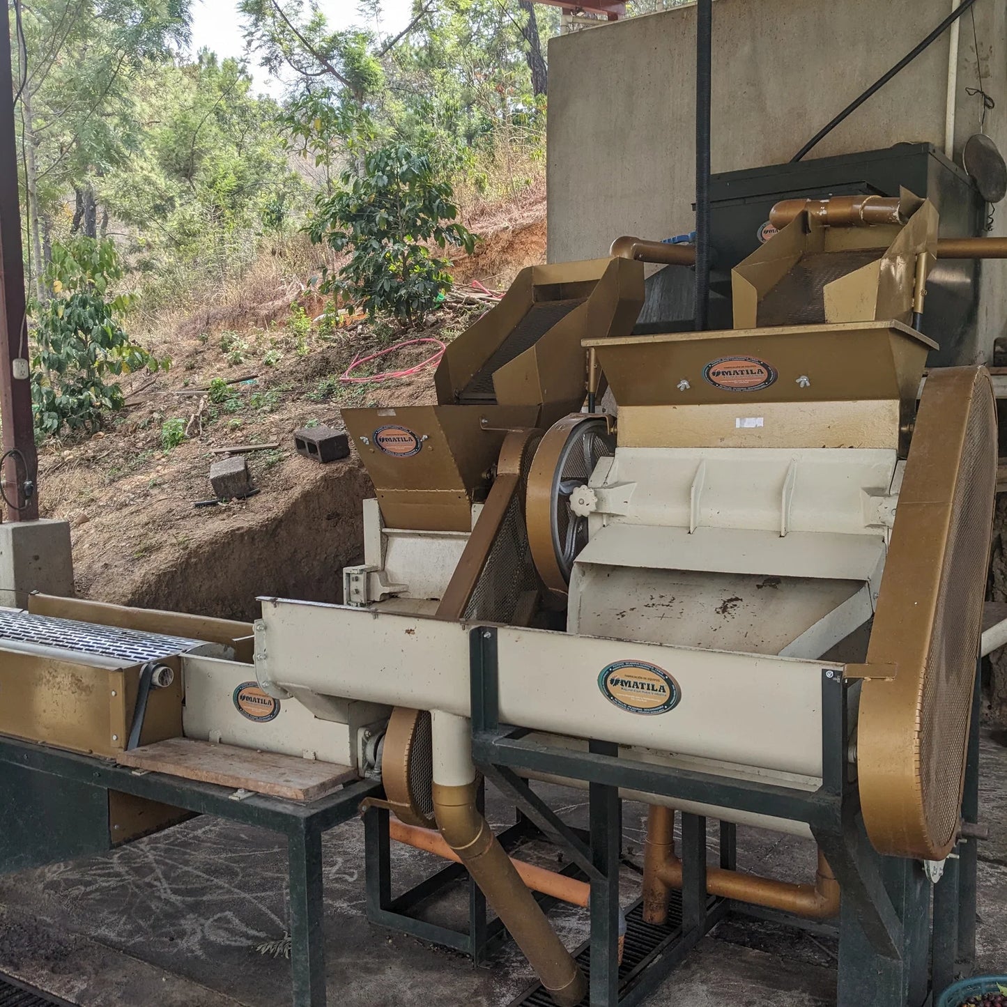 REC COFFEE Guatemala 危地馬拉/瓜地馬拉 Los Suspiros 莊園 水洗精品咖啡原豆 中度烘焙 250g