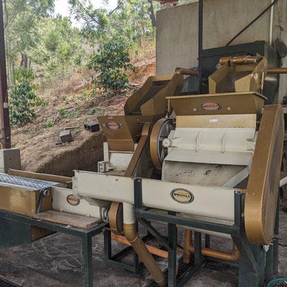 REC COFFEE Guatemala 危地馬拉/瓜地馬拉 Los Suspiros 莊園 水洗精品咖啡原豆 中度烘焙 250g
