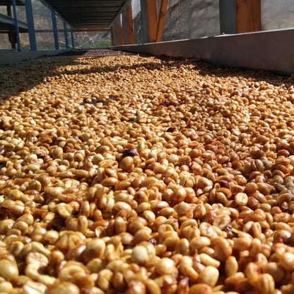 REC COFFEE Guatemala 危地馬拉/瓜地馬拉 Los Suspiros 莊園 水洗精品咖啡原豆 中度烘焙 250g