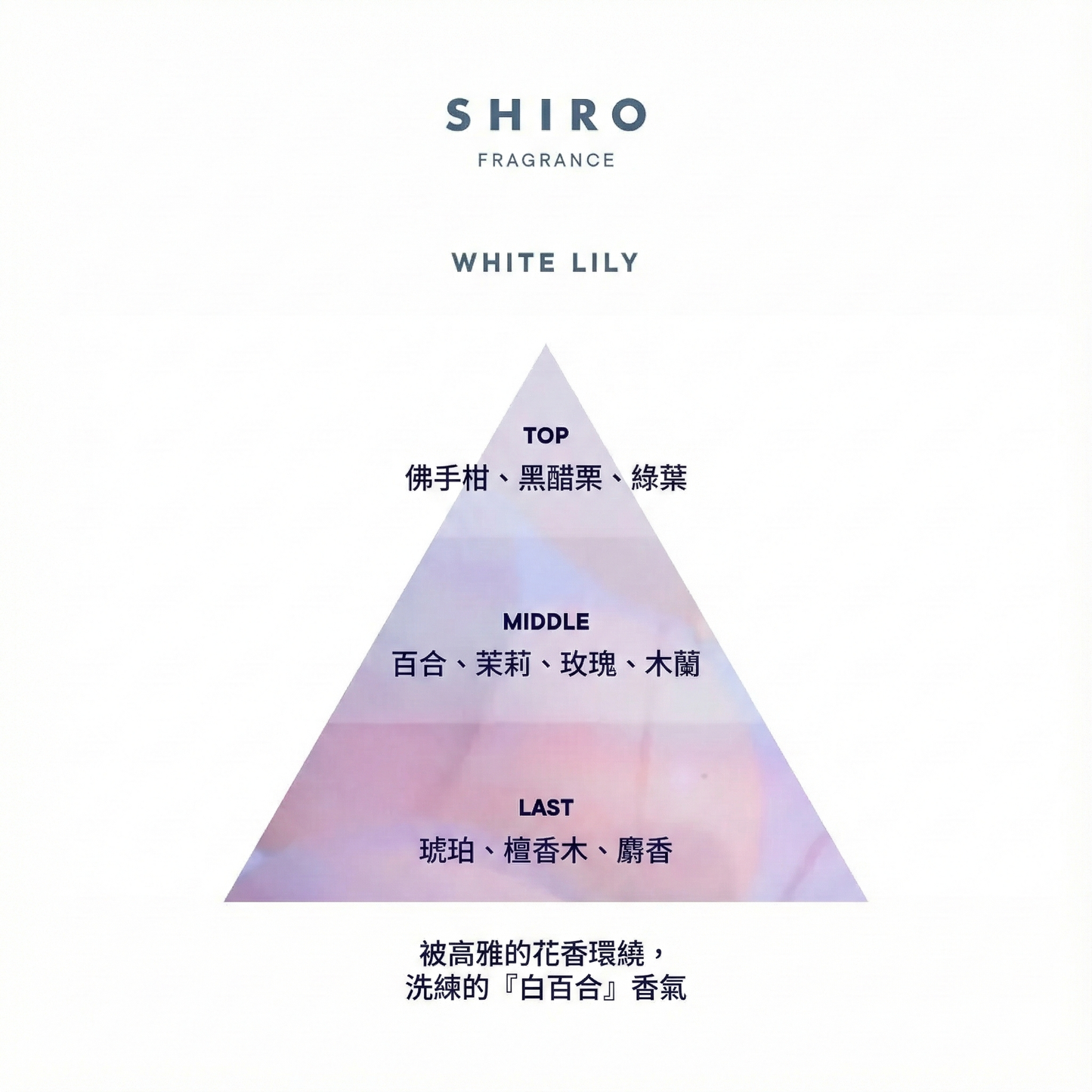 SHIRO Hand Serum 香氛護手精華乳 潤手霜