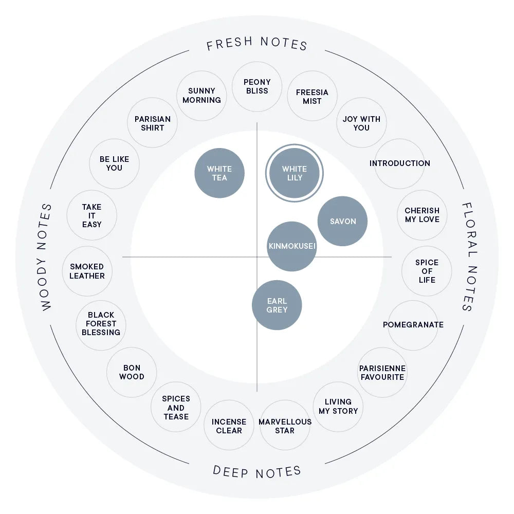 SHIRO Hand Serum 香氛護手精華乳 潤手霜