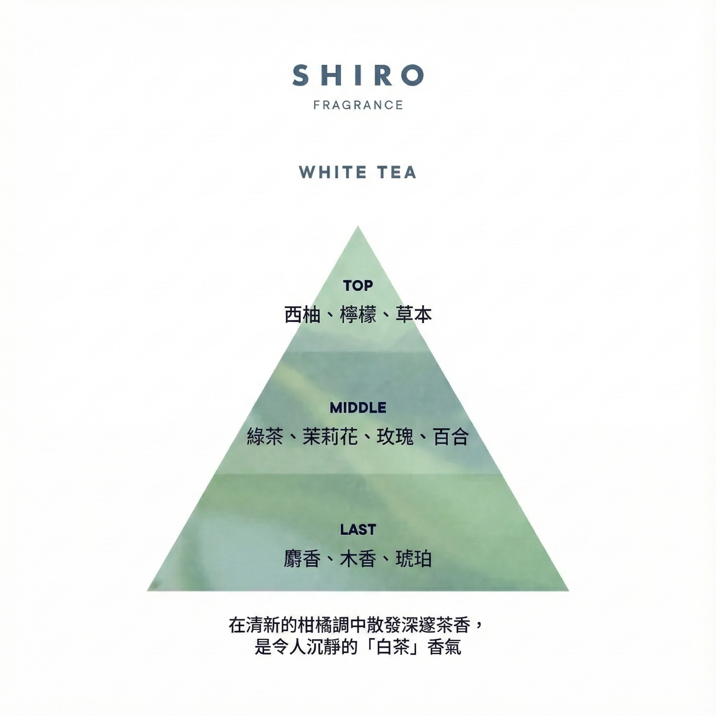 SHIRO Hand Serum 香氛護手精華乳 潤手霜