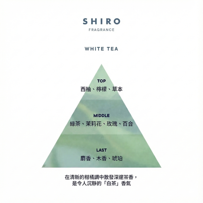 SHIRO Hand Serum 香氛護手精華乳 潤手霜