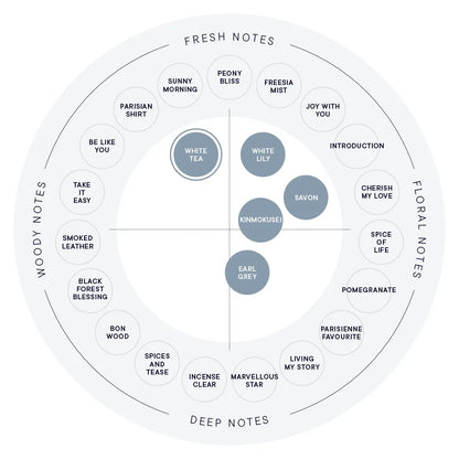 SHIRO Hand Serum 香氛護手精華乳 潤手霜