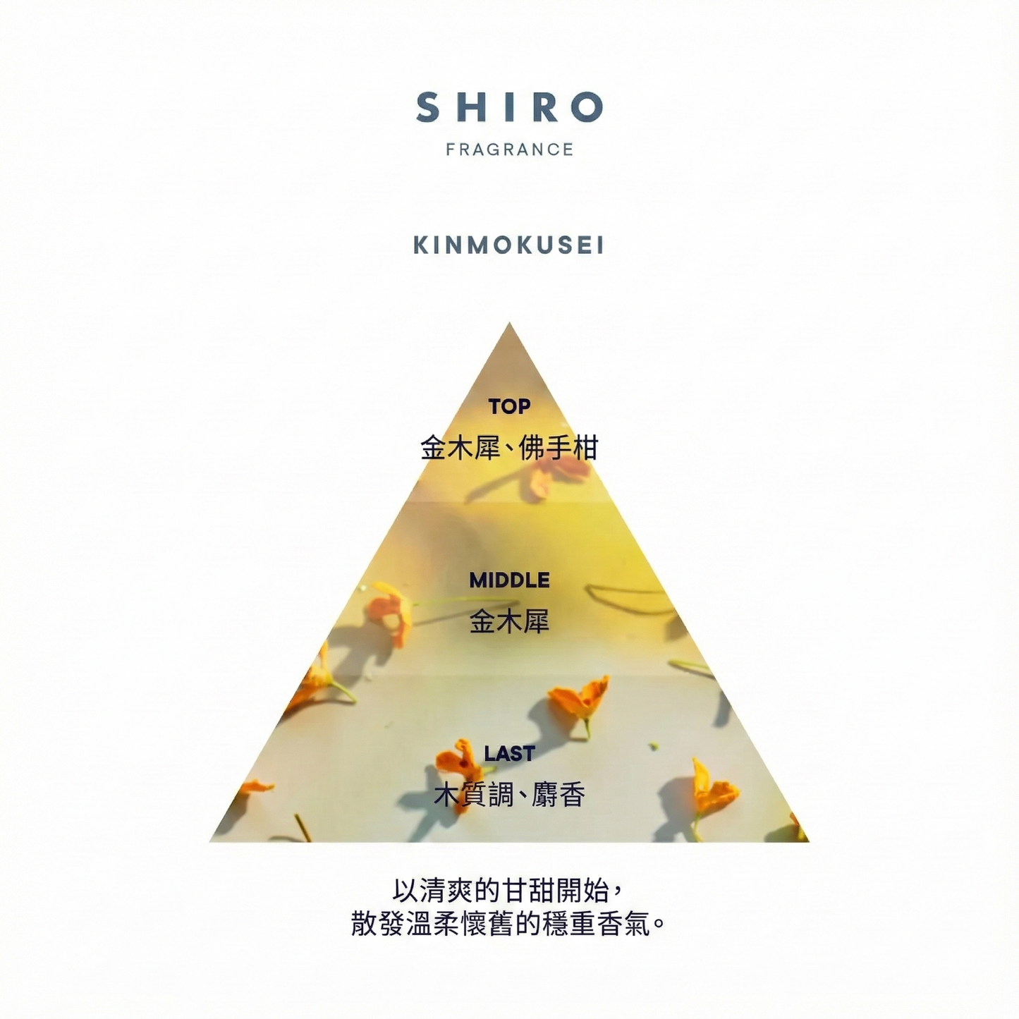 SHIRO Hand Serum 香氛護手精華乳 潤手霜