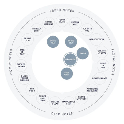 SHIRO Hand Serum 香氛護手精華乳 潤手霜