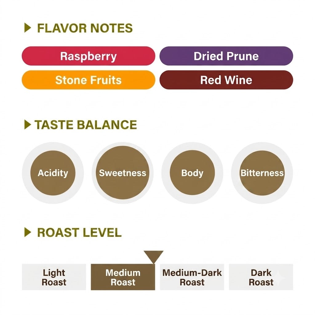 REC COFFEE Honduras 洪都拉斯 Gosen 莊園 厭氧日曬精品咖啡原豆 淺中烘焙