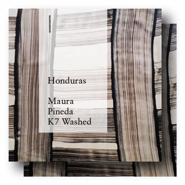 COFFEE COUNTY Honduras Maura Pineda K7 Whole Coffee Beans Roasted in Japan 400g