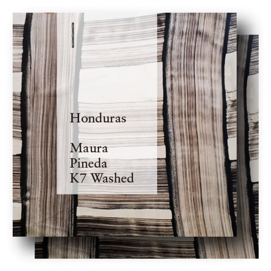 COFFEE COUNTY 洪都拉斯 Maura Pineda K7 精品咖啡原豆 水洗處理 日本烘焙 400g