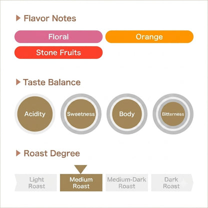 REC COFFEE 洪都拉斯及巴拿馬 藝伎/瑰夏綜合 頂級精品咖啡原豆 中度烘焙 100g×2包