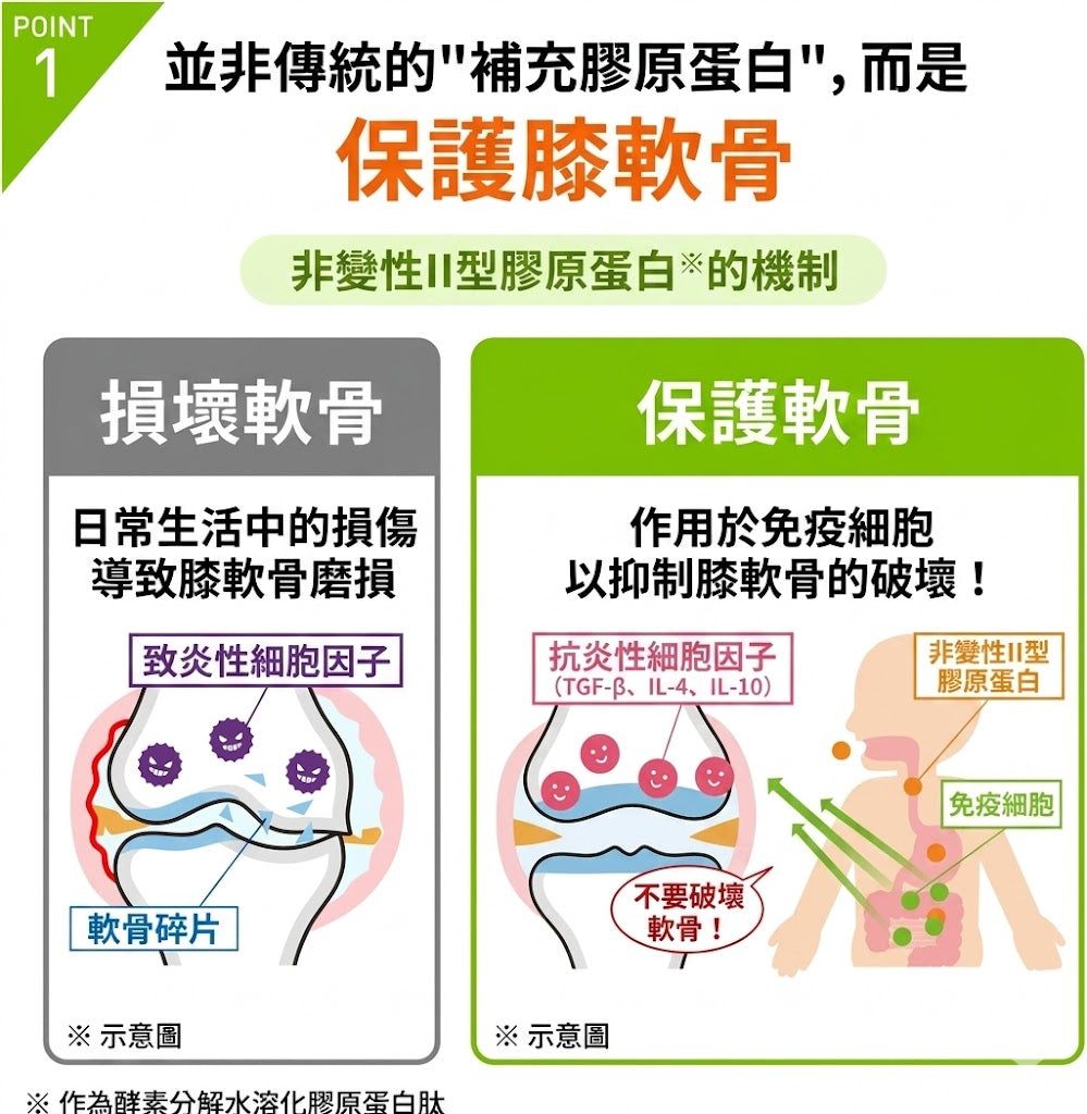 Regain 日本製 Knee Support 膝關節支援機能性補充食品 30粒×3袋優惠裝