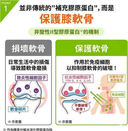 Regain 日本製 Knee Support 膝關節支援機能性補充食品 30粒×3袋優惠裝