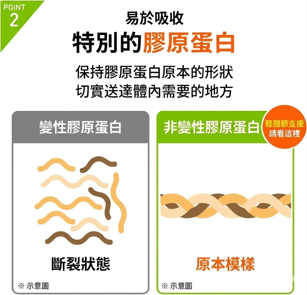 Regain Knee Support 膝關節支援機能性補充食品30粒×3袋｜SolyJapan 搜