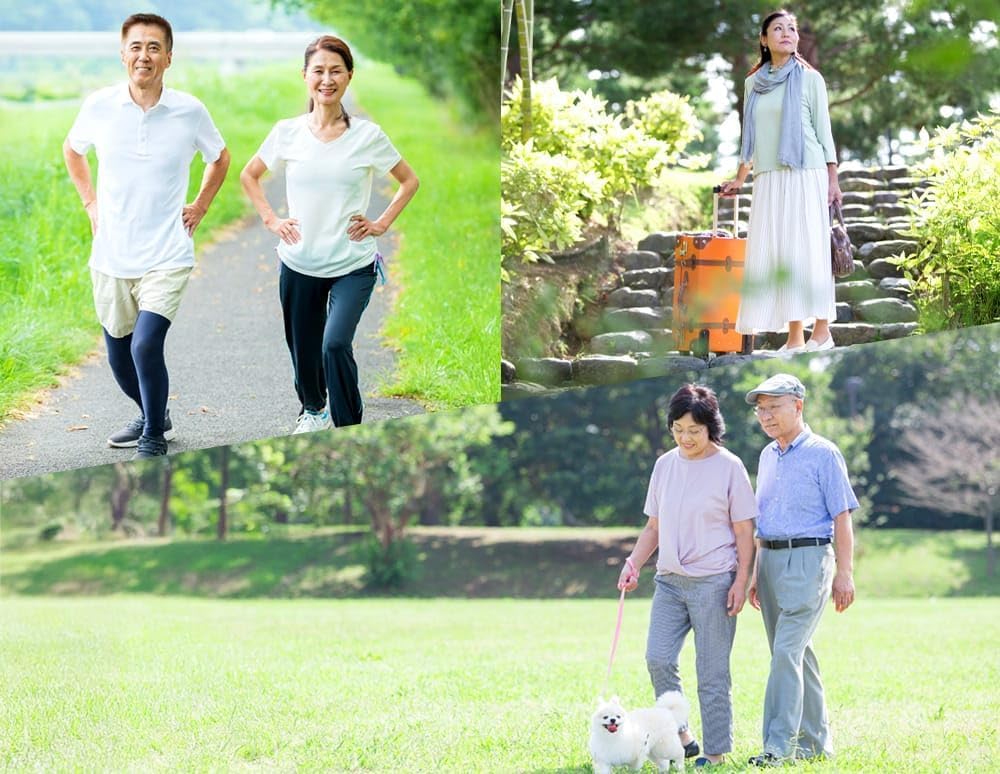 Regain 日本製 Knee Support 膝關節支援機能性補充食品 30粒×3袋優惠裝