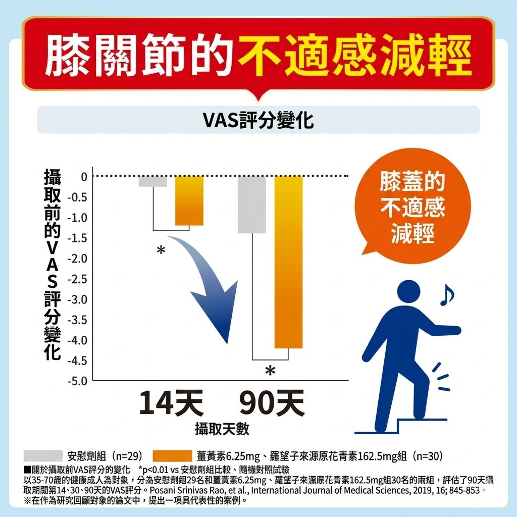 Regain 日本製 Leg-Strengthening Assist 膝關節與步行支援機能性補充食品 60粒×3袋優惠裝