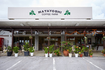 Matayoshi Coffee 又吉咖啡園 肯亞 單一產地 自家烘焙咖啡豆 100g x 4包