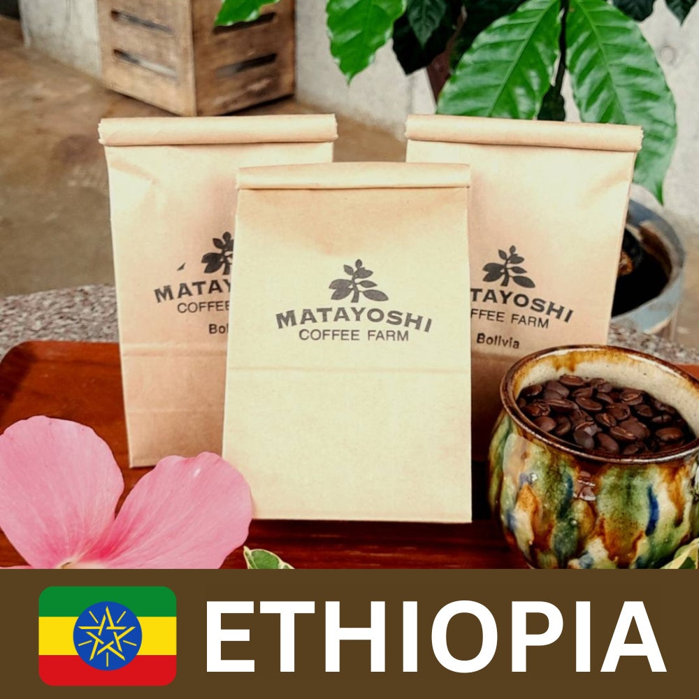 Matayoshi Coffee 又吉咖啡園 埃塞俄比亞 單一產地 自家烘焙咖啡豆 100g x 4包
