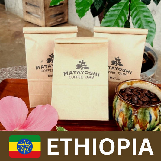 Matayoshi Coffee 又吉咖啡園 埃塞俄比亞 單一產地 自家烘焙咖啡豆 100g x 4包