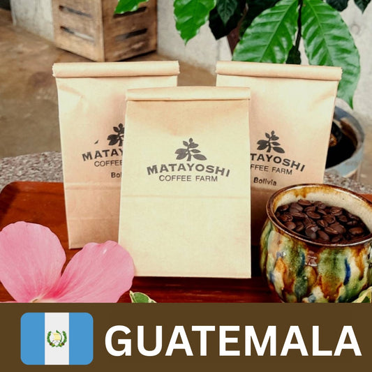 Matayoshi Coffee 又吉咖啡園 危地馬拉 (瓜地馬拉) 單一產地 自家烘焙咖啡豆 100g x 4包