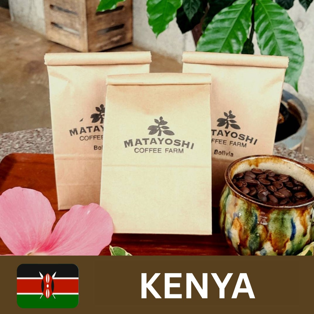 Matayoshi Coffee 又吉咖啡園 肯亞 單一產地 自家烘焙咖啡豆 100g x 4包