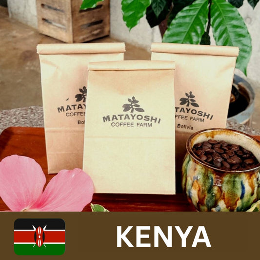 Matayoshi Coffee 又吉咖啡園 肯亞 單一產地 自家烘焙咖啡豆 100g x 4包